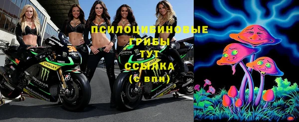 стаф Абдулино