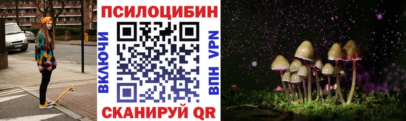наркотики Грайворон Псилоцибиновые грибы мицелий